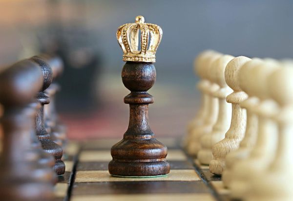 Win against competitors by knowing  your customers